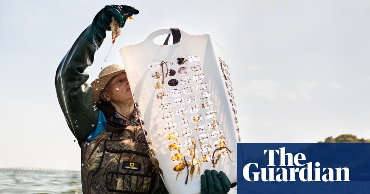 Saved by seaweed: nuns and Native women heal polluted New York waters using kelp | US news | The Guardian